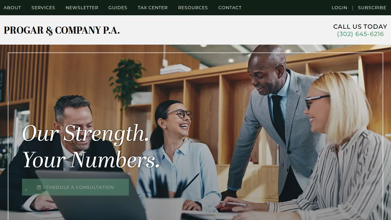 Payroll Professionals website