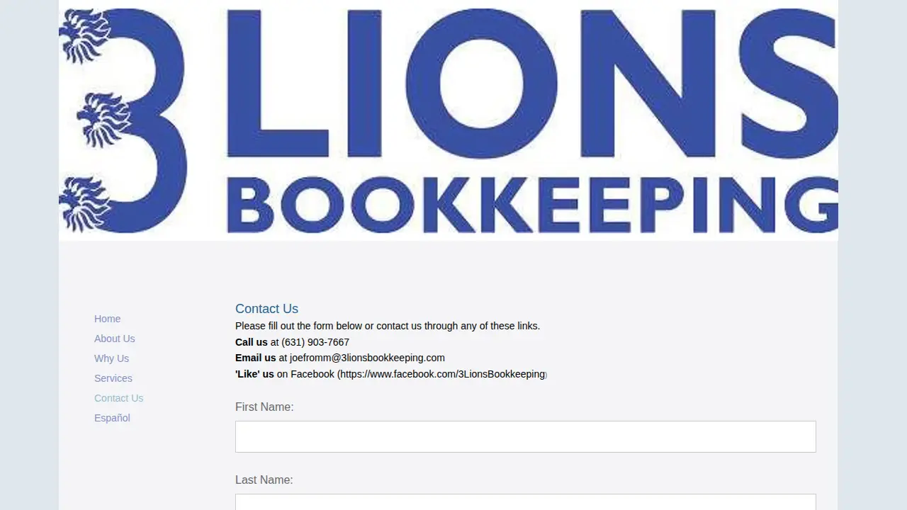3 Lions Bookkeeping page