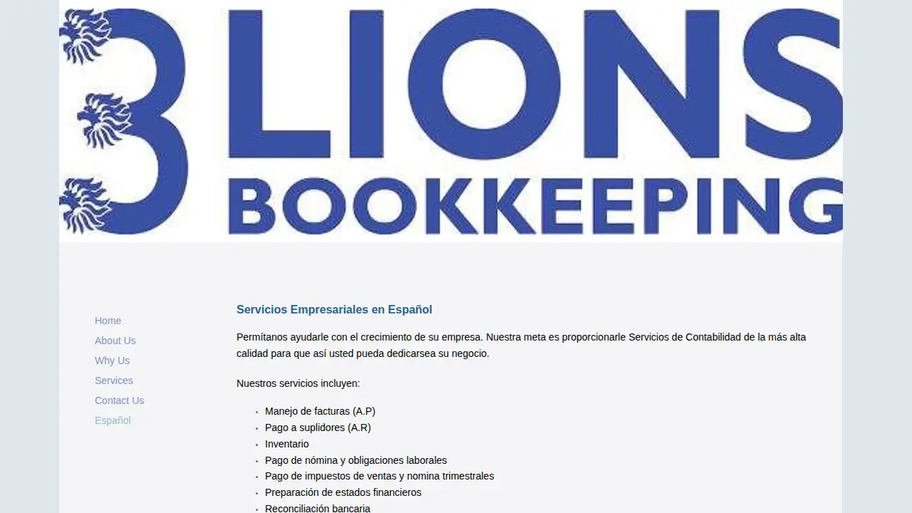 3 Lions Bookkeeping page