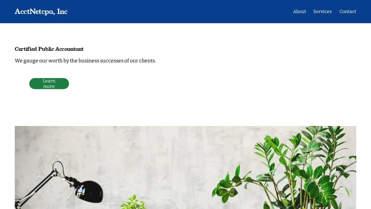 AcctNetcpa, Inc