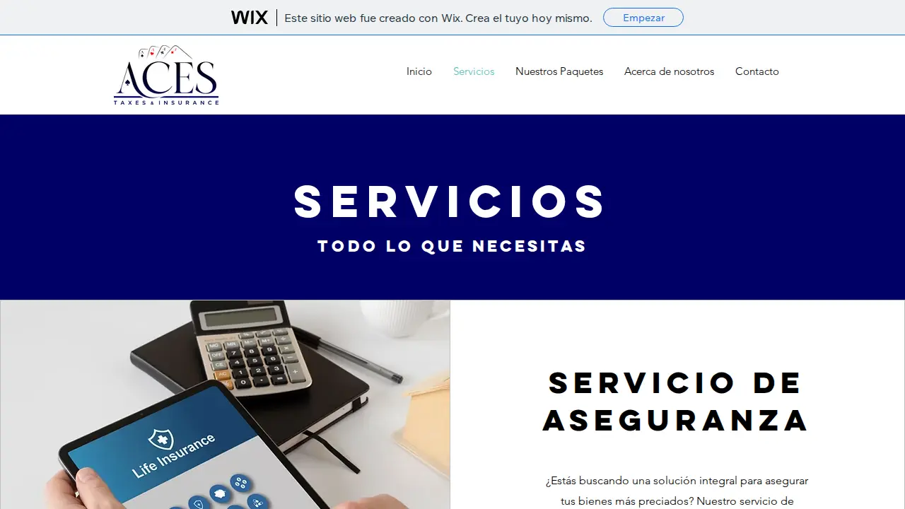 Ace's Taxes and Insurance page