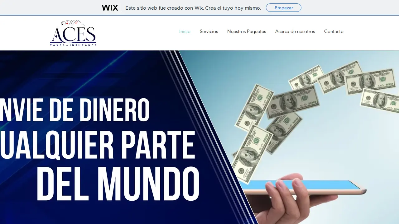 Ace's Taxes and Insurance website