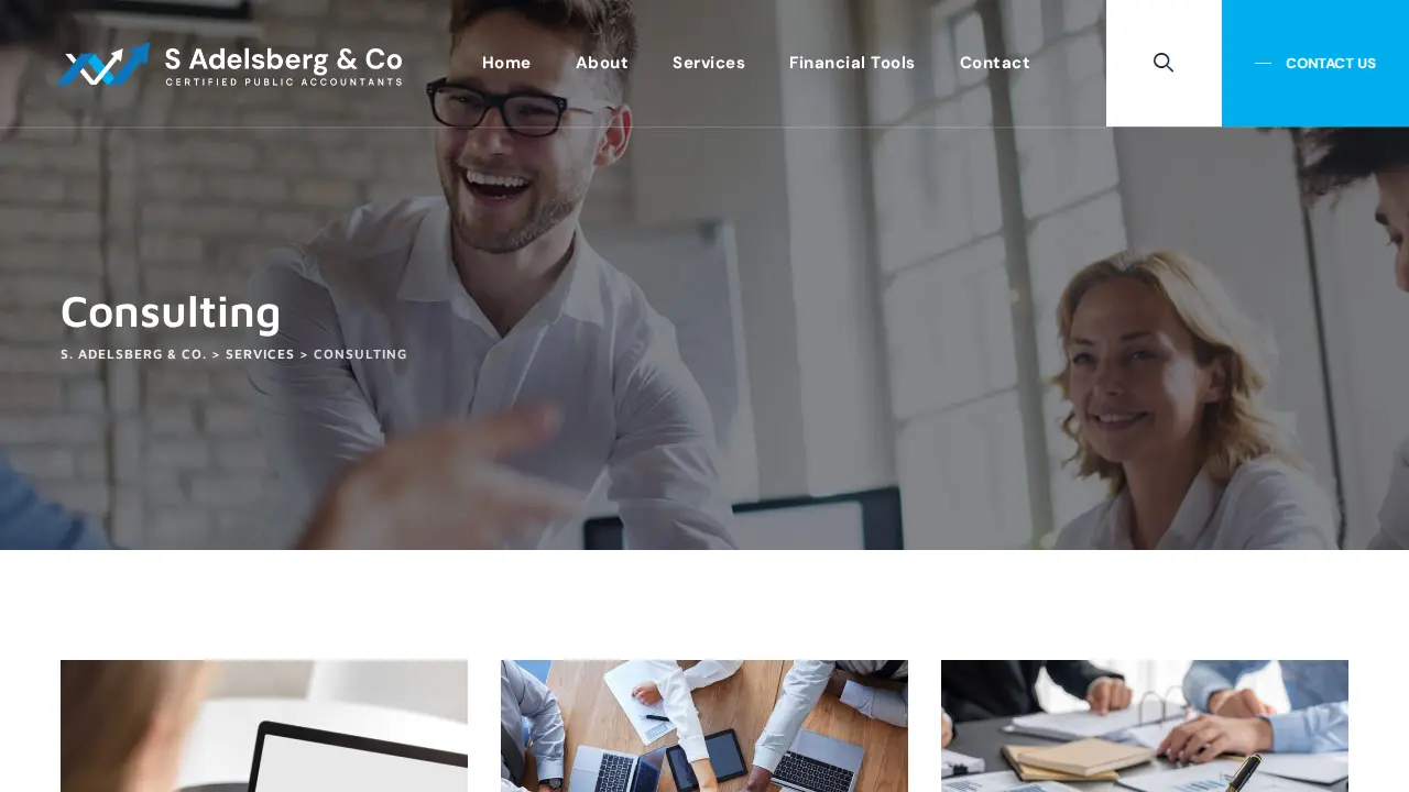 Samuel S Adelsberg & Co page
