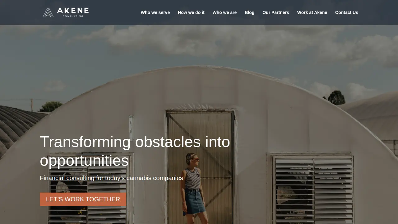 Akene Consulting, LLC