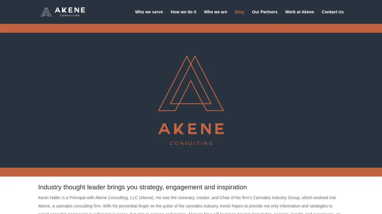 Akene Consulting, LLC page
