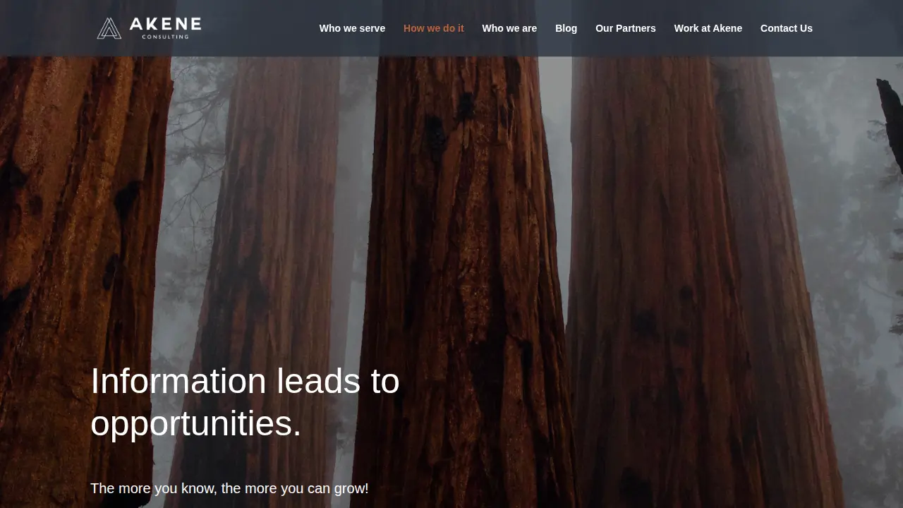 Akene Consulting, LLC page