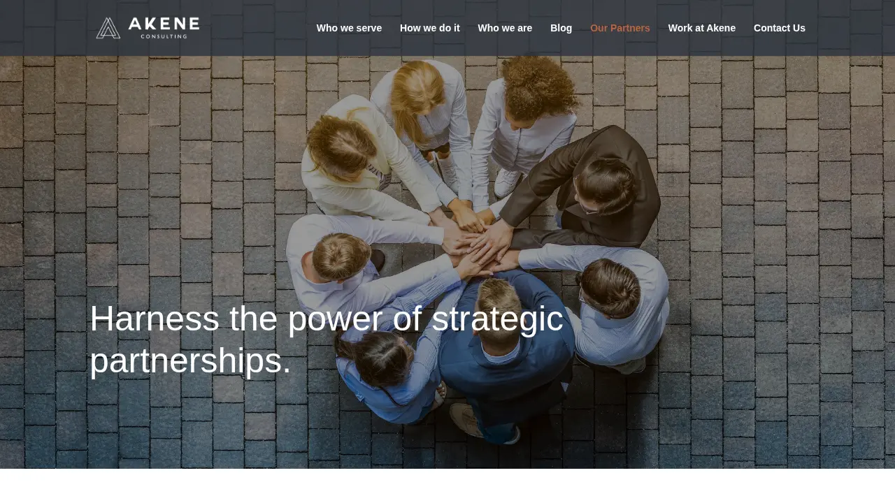 Akene Consulting, LLC page