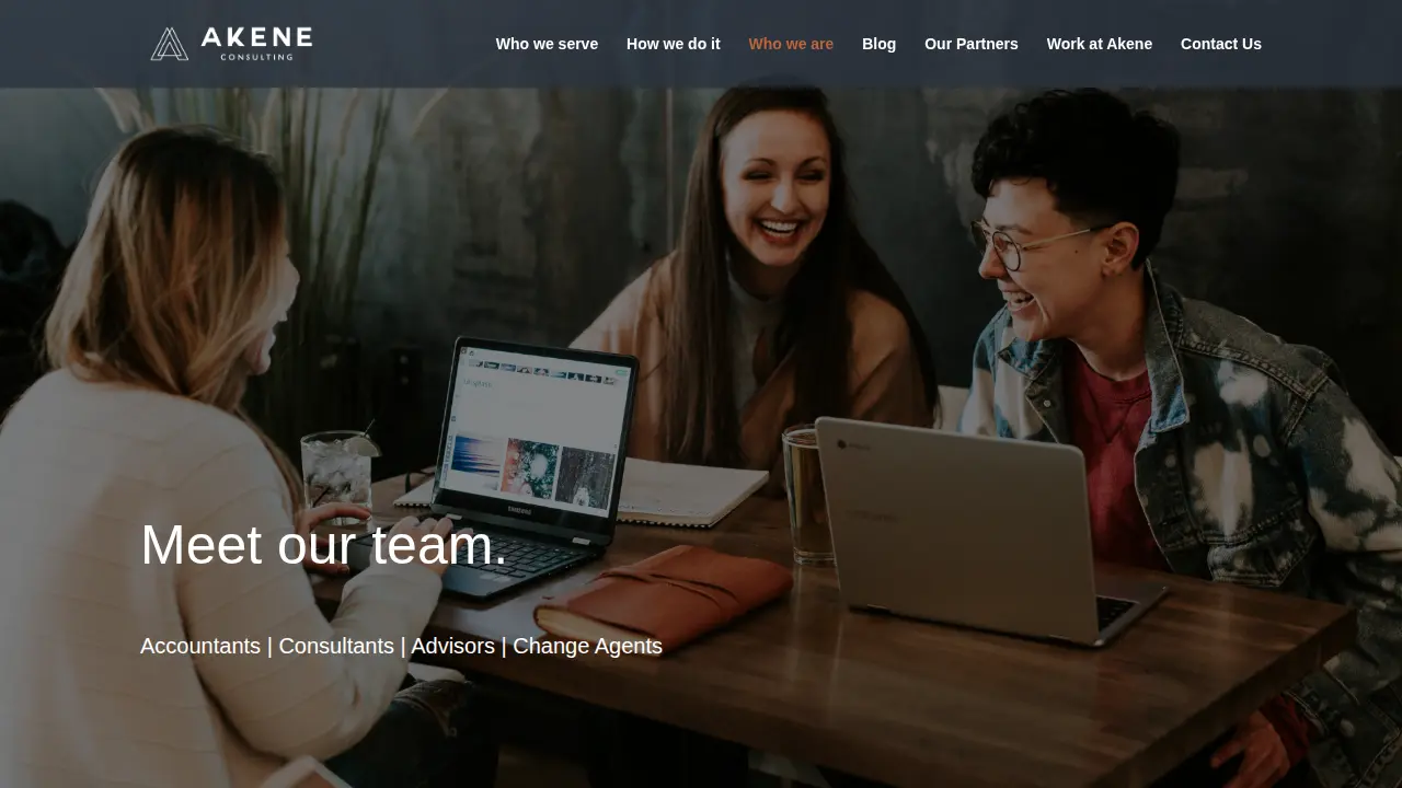 Akene Consulting, LLC page