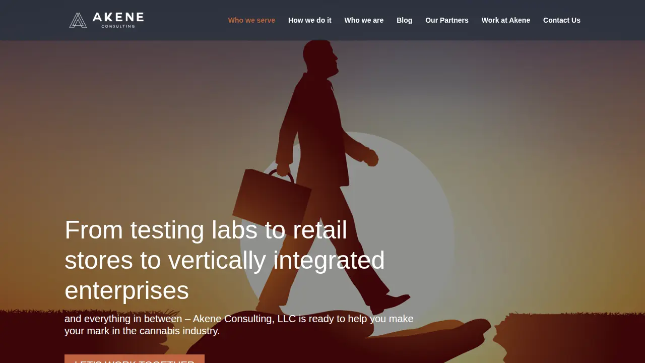 Akene Consulting, LLC page