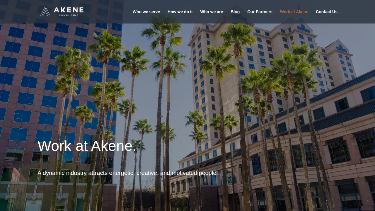 Akene Consulting, LLC page