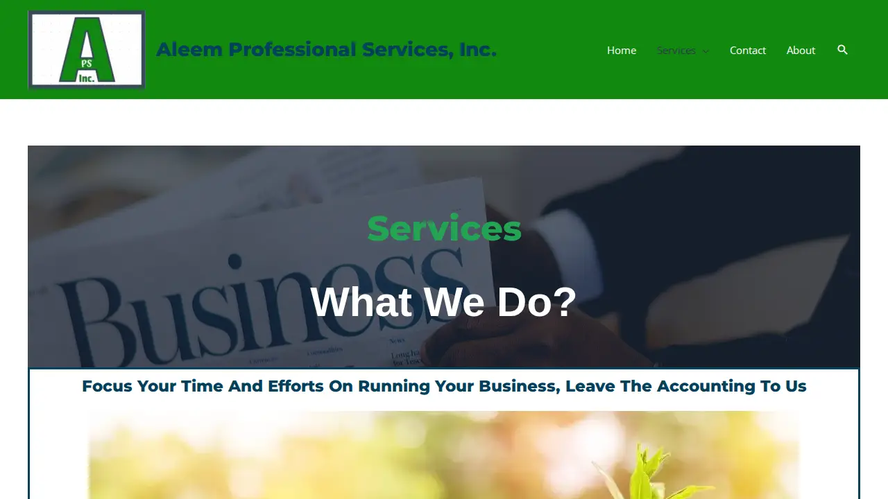 Aleem Accounting Inc. page