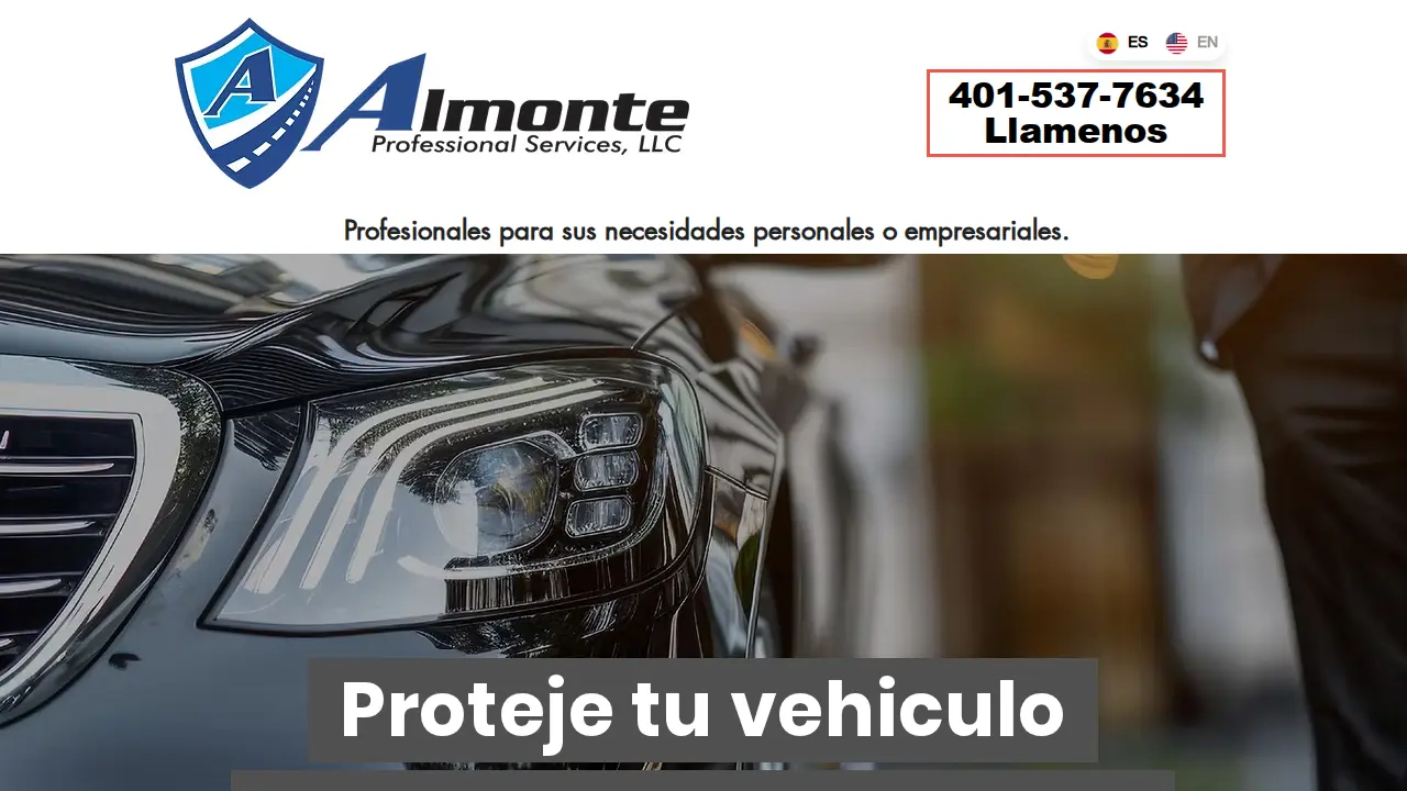 ALMONTE PROFESSIONAL SERVICES