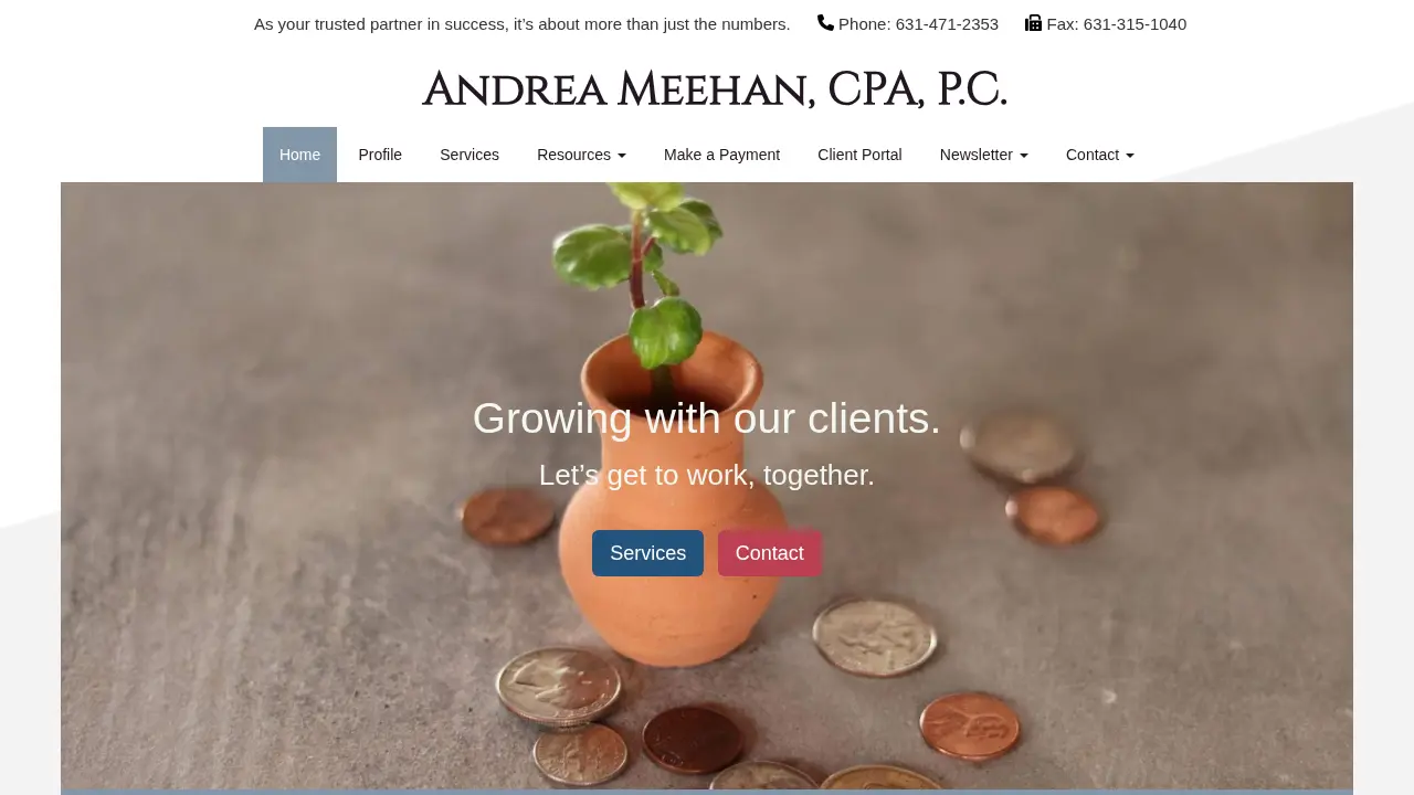 Andrea Meehan CPA PC