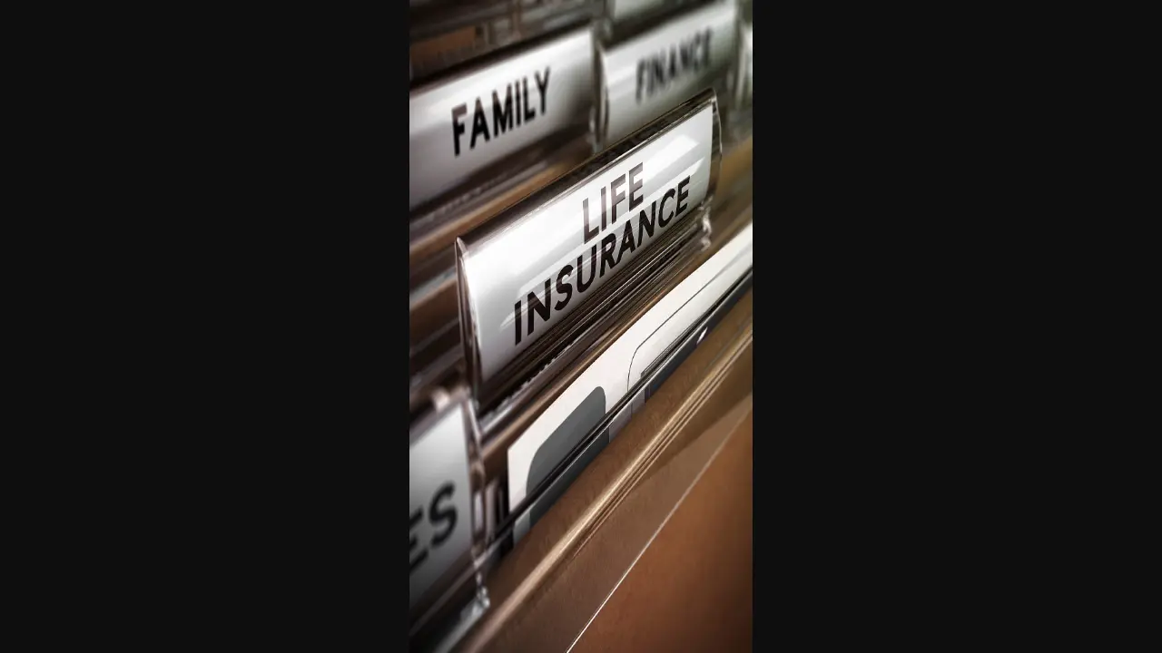 Avila Insurance Services page