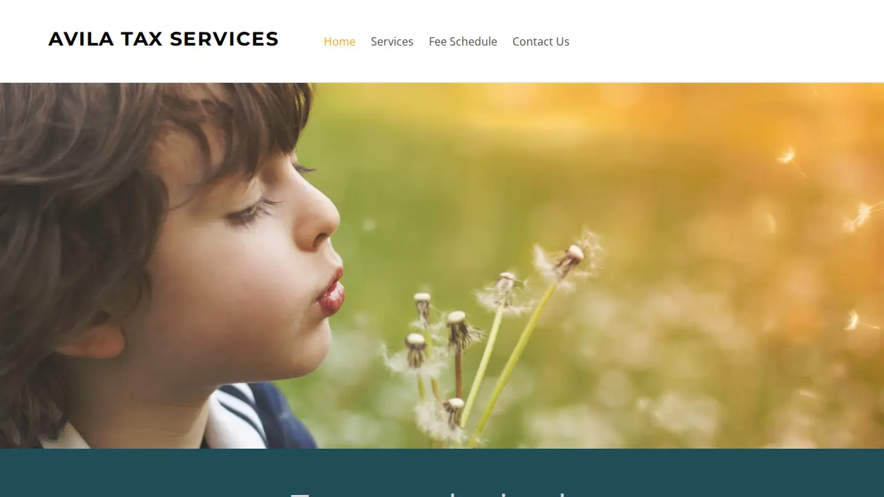 Avila Tax Services page