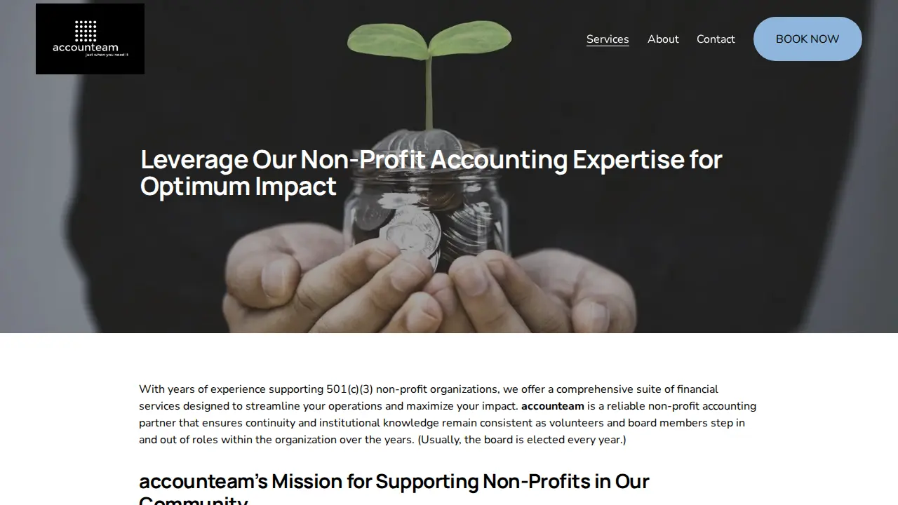 accounteamtax page