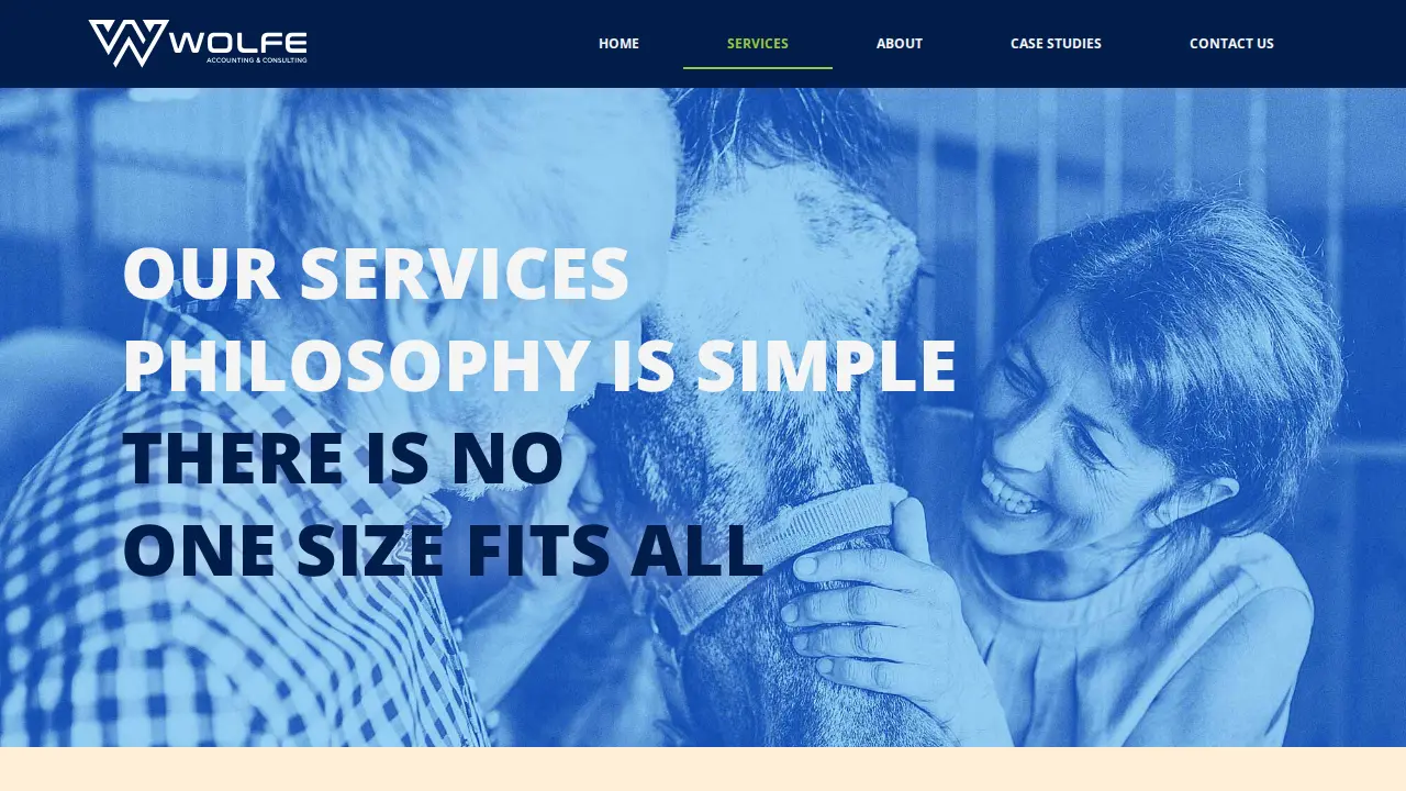 Wolfe Accounting and Consulting page