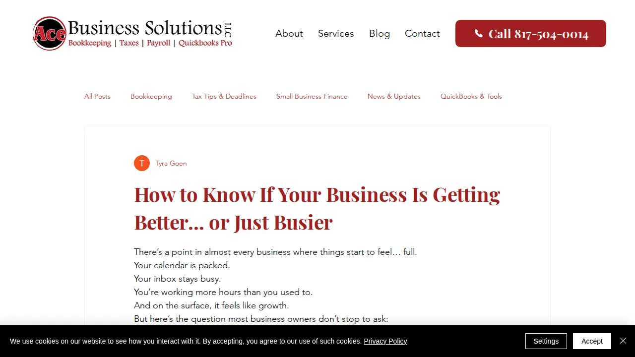 Ace Business Solutions page