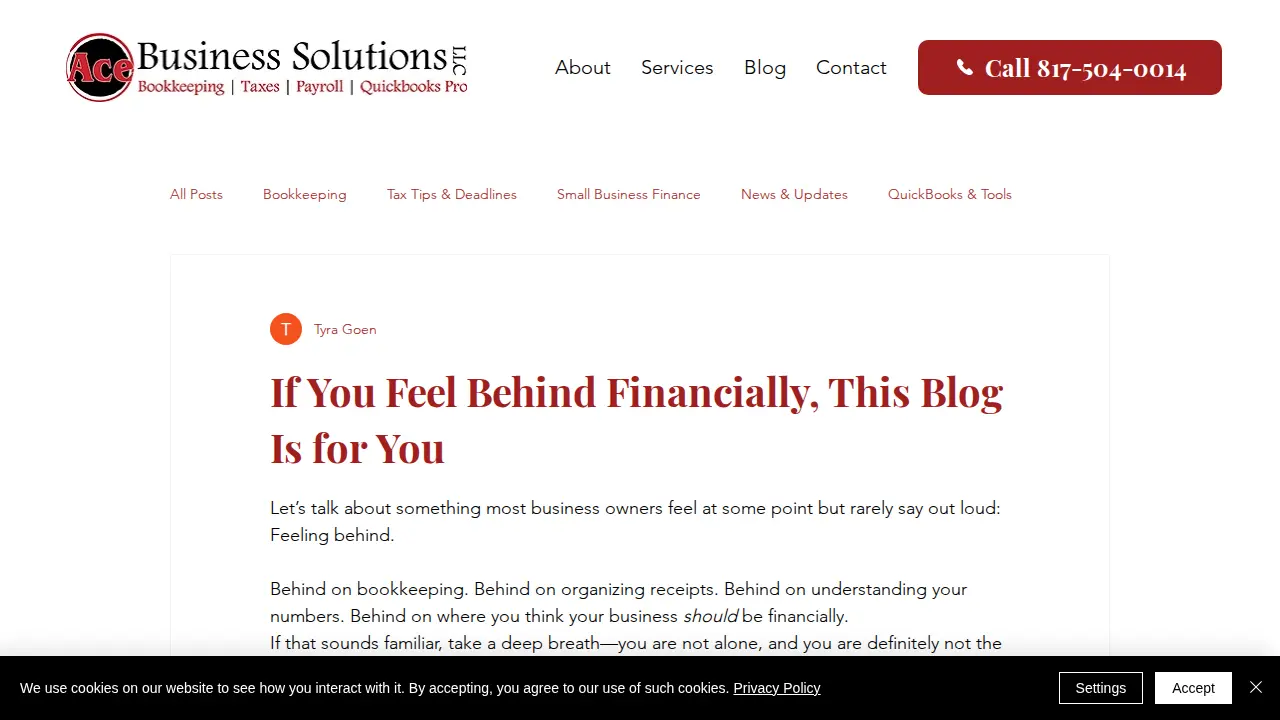 Ace Business Solutions page