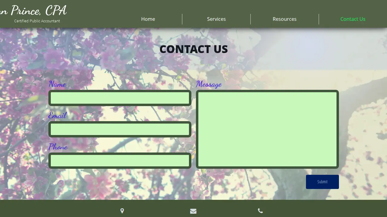 Ann Prince CPA page