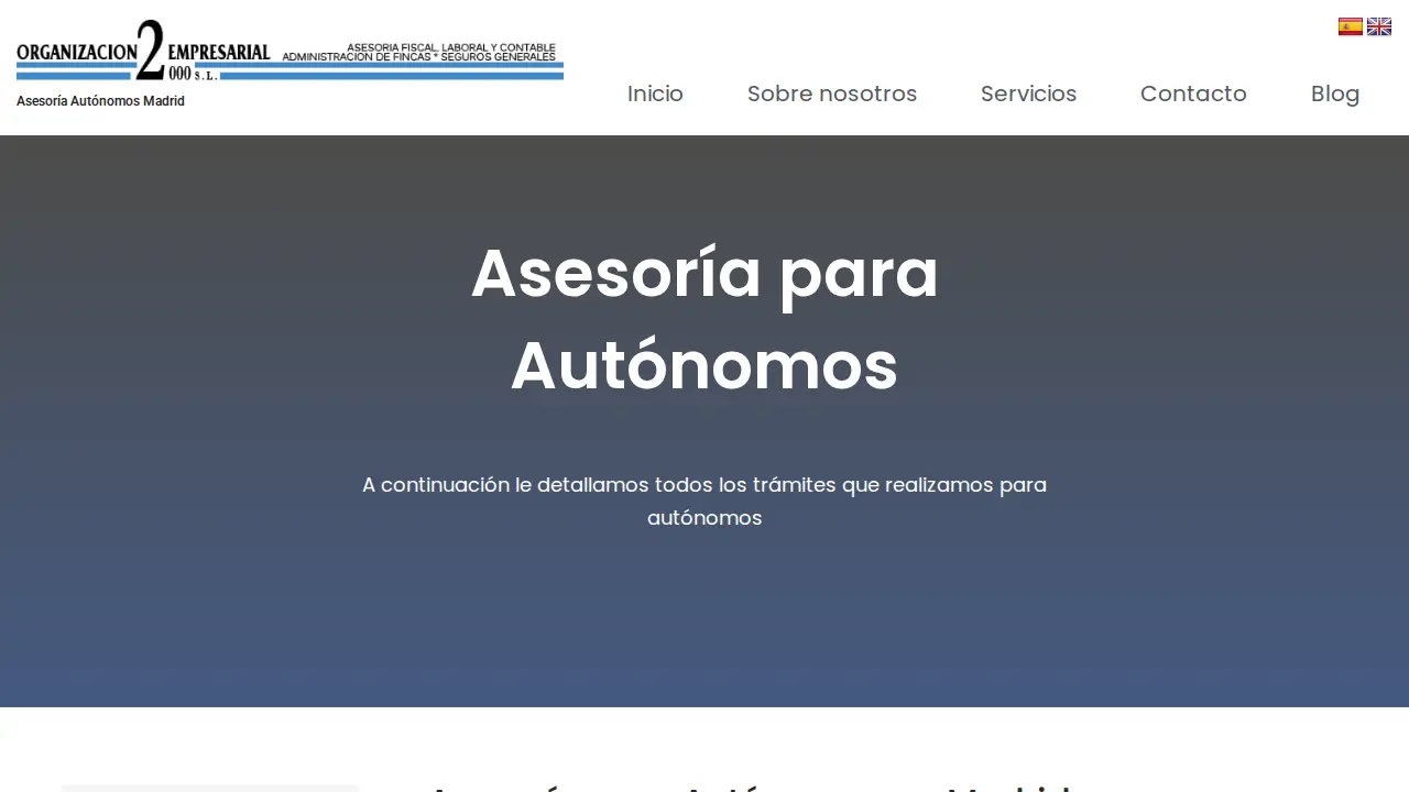 Asesoría de empresas Madrid Organización Empresarial 2000 page