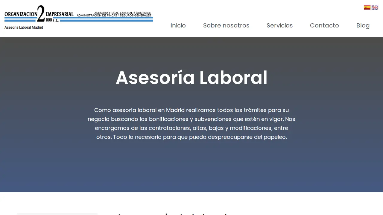 Asesoría de empresas Madrid Organización Empresarial 2000 page