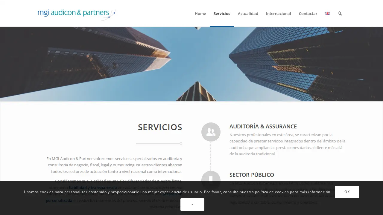 MGI Audicon & Partners page