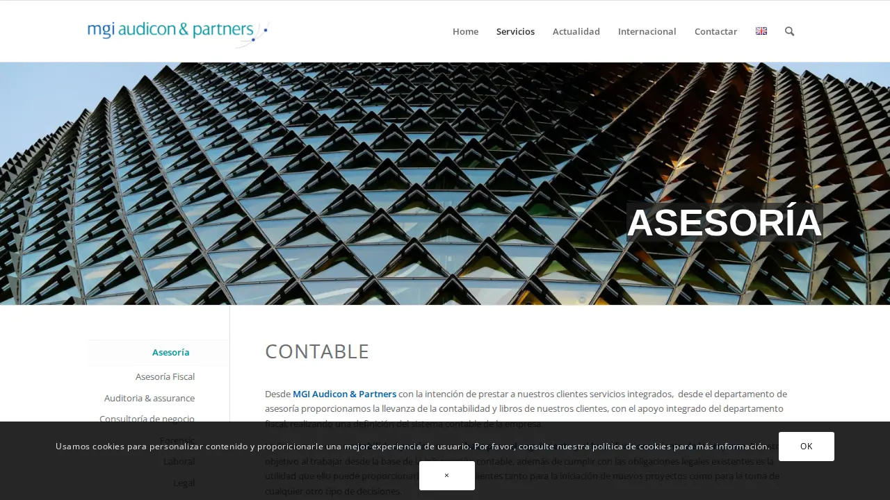 MGI Audicon & Partners page