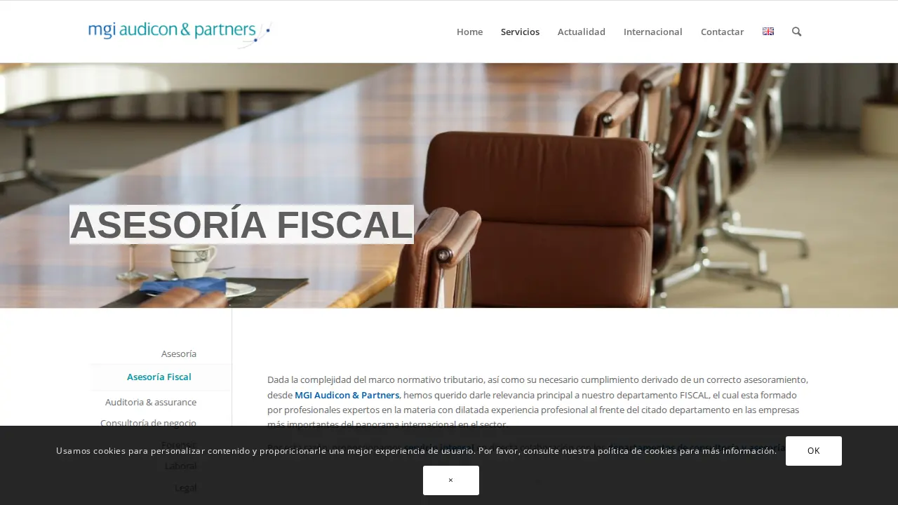 MGI Audicon & Partners page