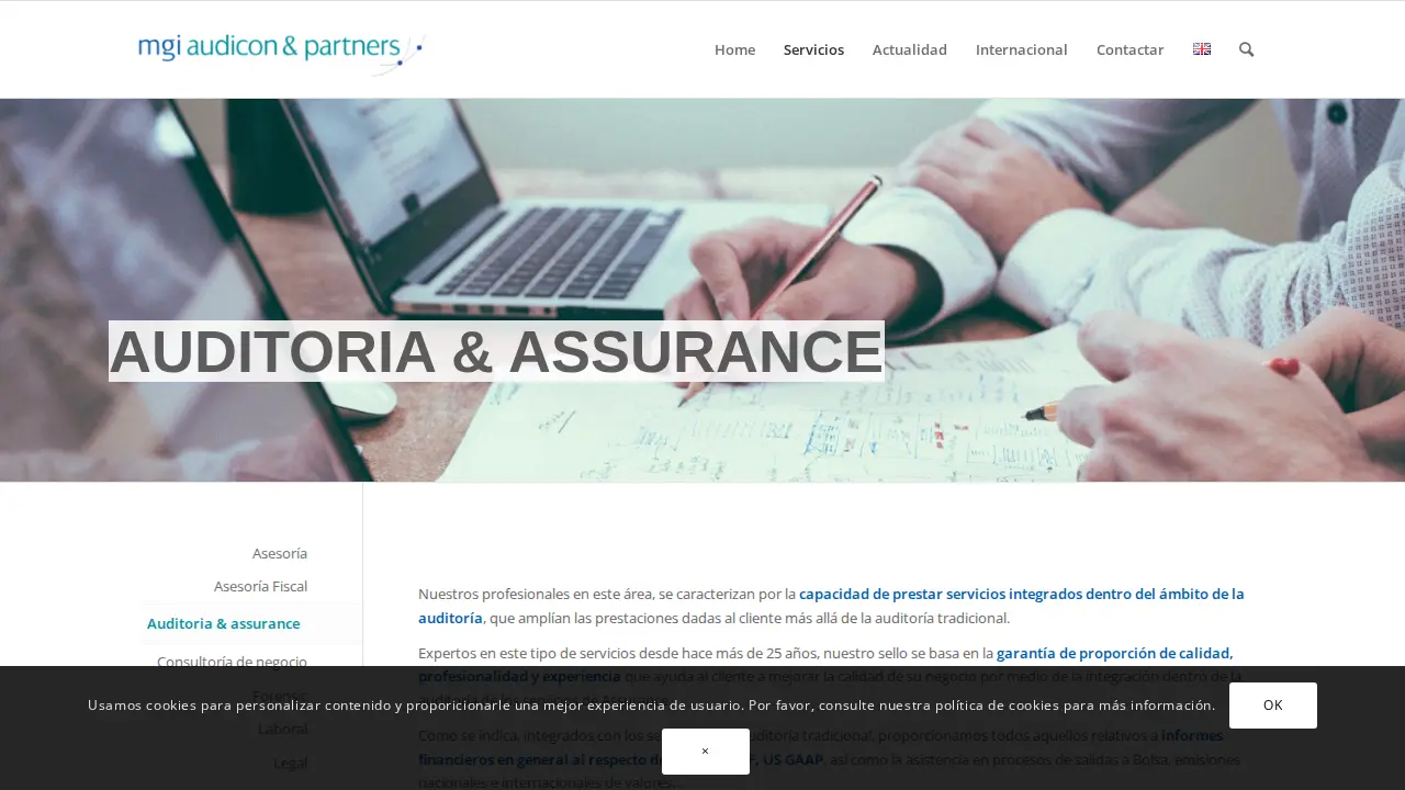MGI Audicon & Partners page