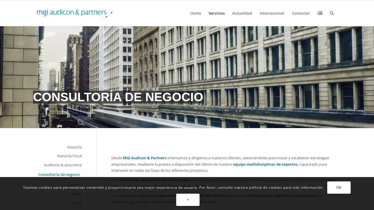 MGI Audicon & Partners page