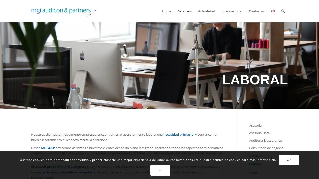 MGI Audicon & Partners page