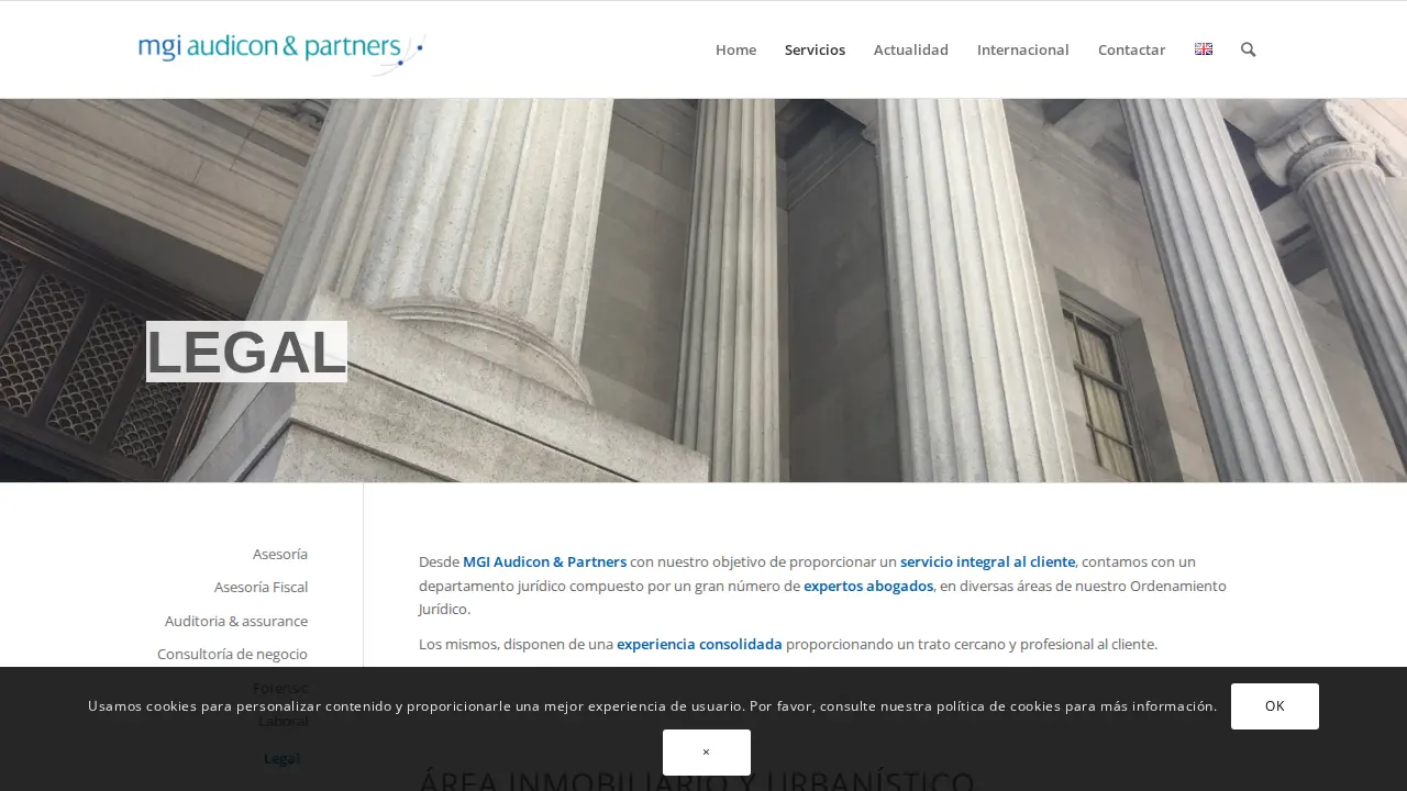 MGI Audicon & Partners page