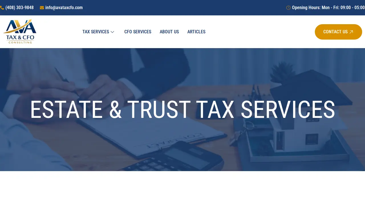 AVA Tax & CFO Consulting page