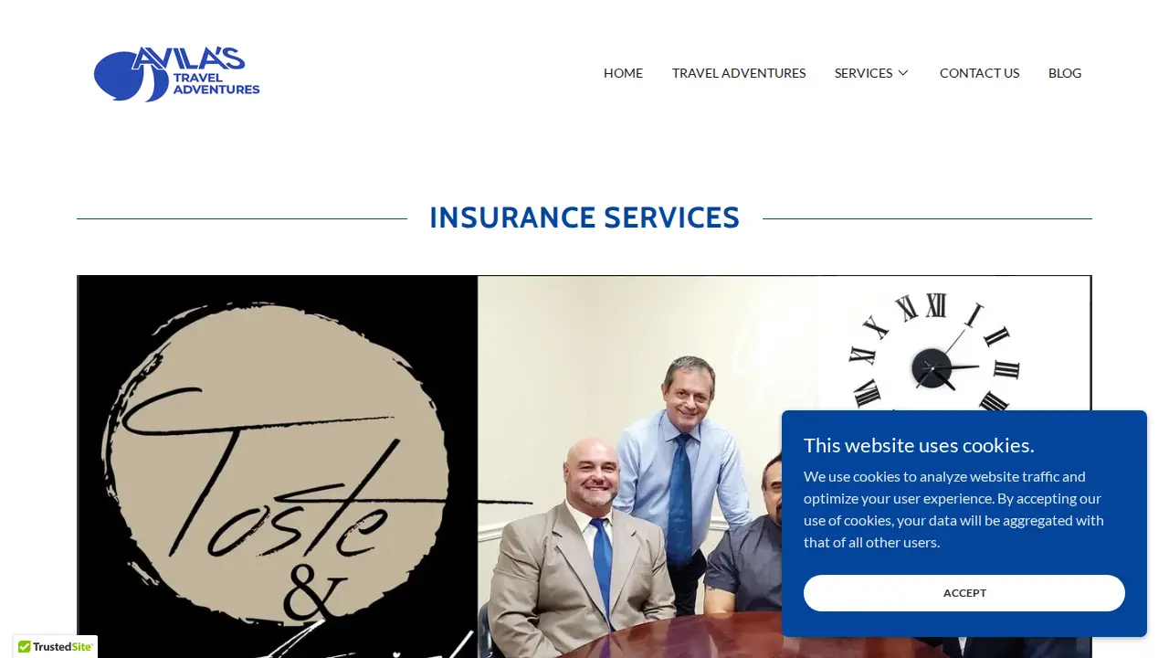 Avila Services page