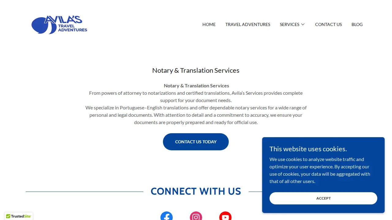 Avila Services page