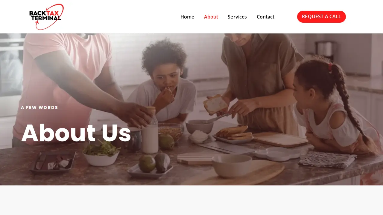 Back-Tax Terminal LLC page