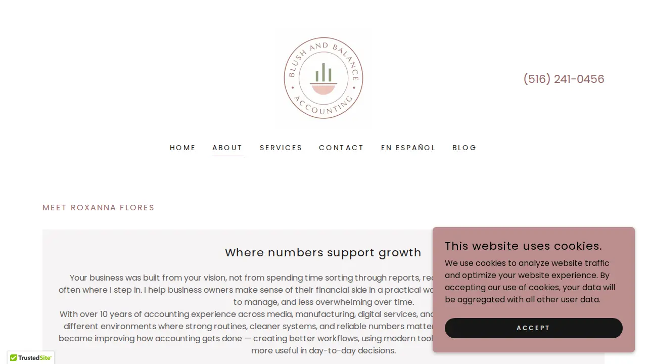 Blush And Balance Accounting page
