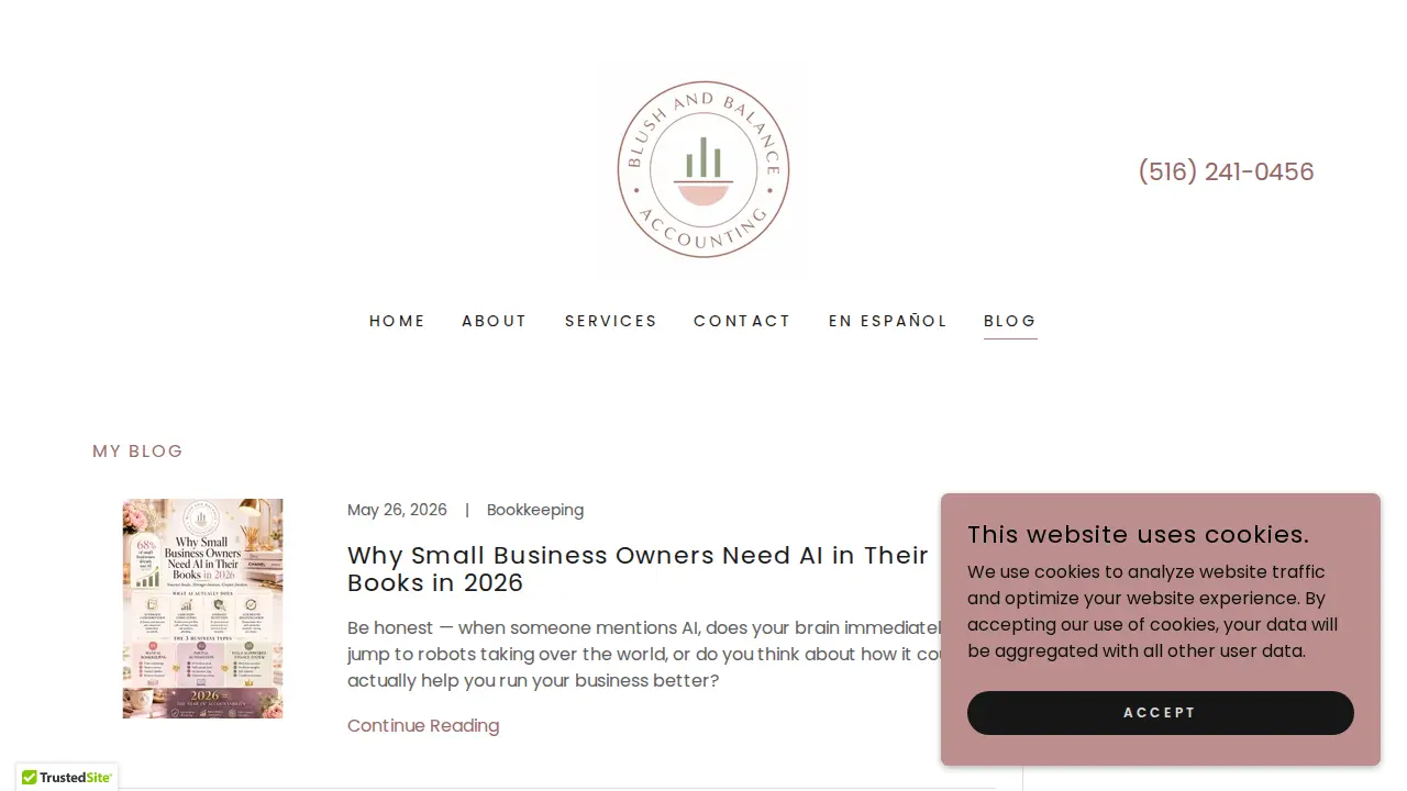 Blush And Balance Accounting page