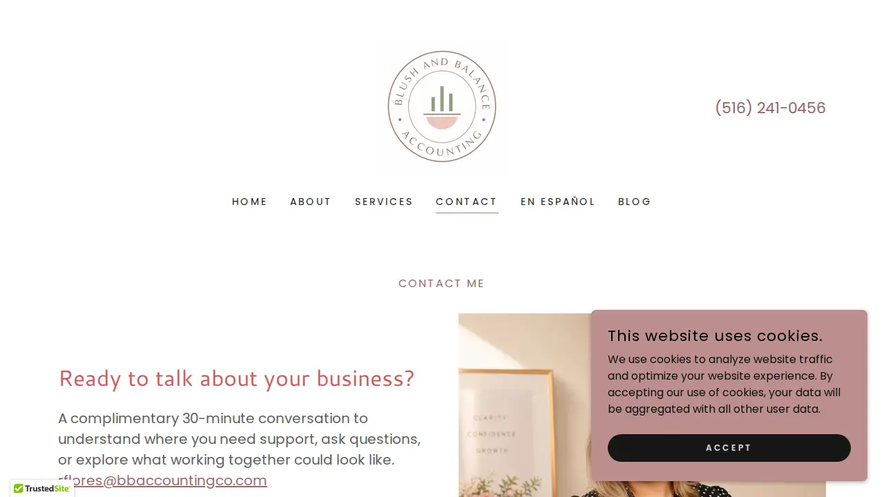 Blush And Balance Accounting page