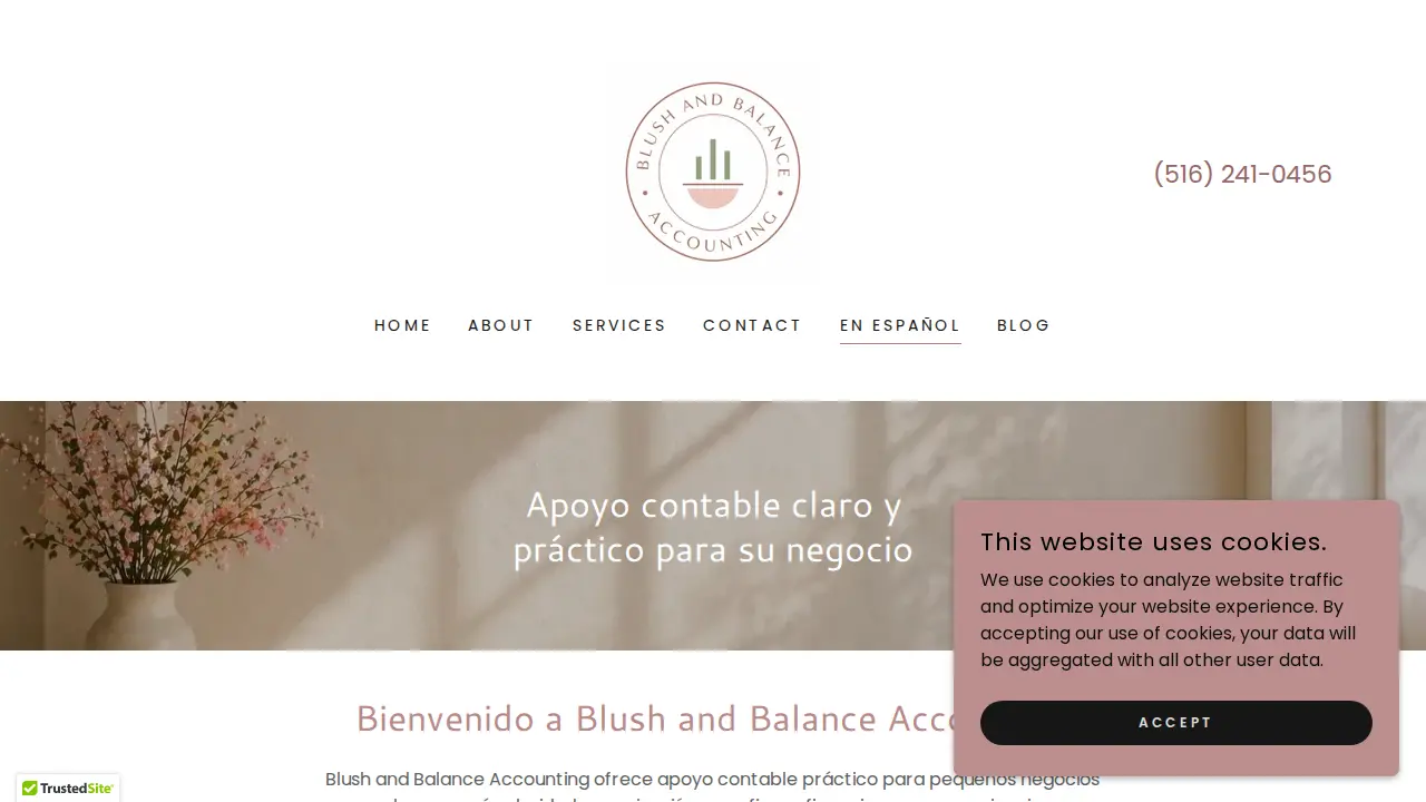 Blush And Balance Accounting page
