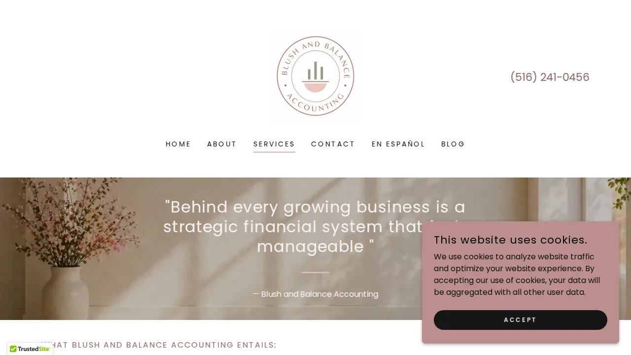 Blush And Balance Accounting page