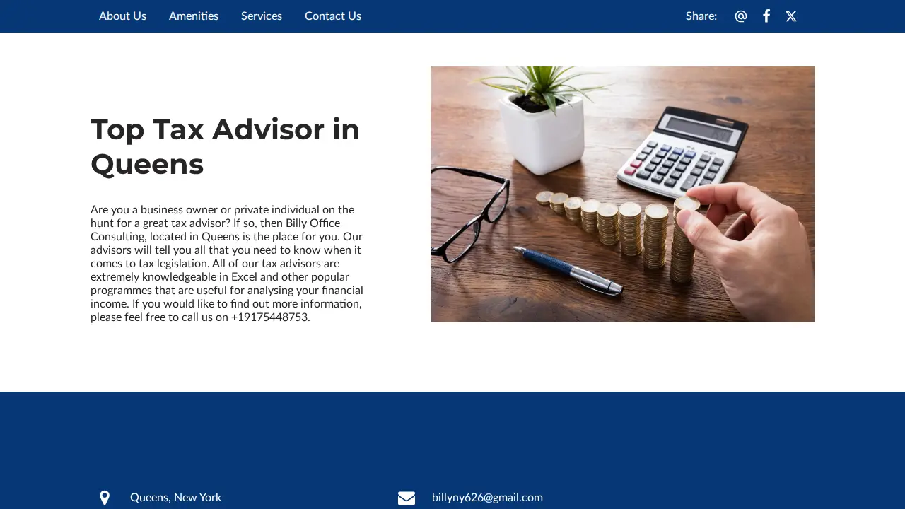 Billy Office Consulting page