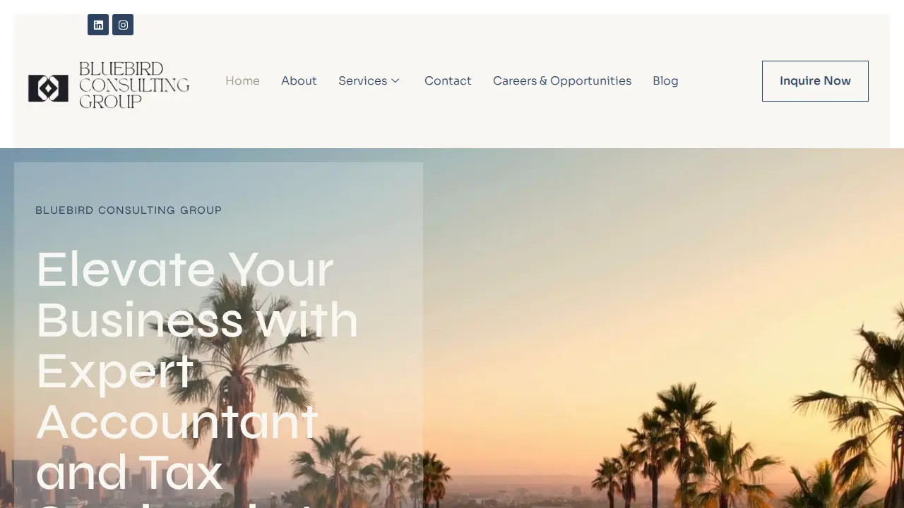 Bluebird Consulting Group LLC page