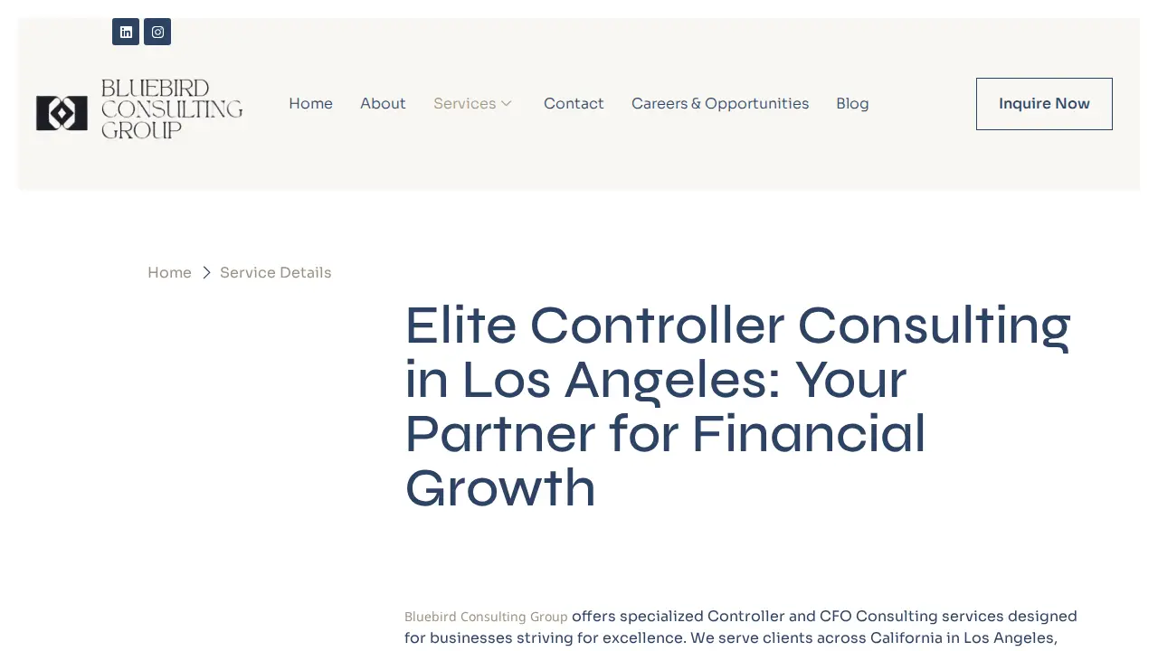 Bluebird Consulting Group LLC page
