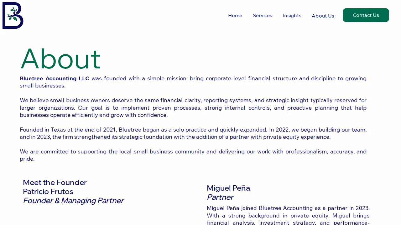 Bluetree Accounting page