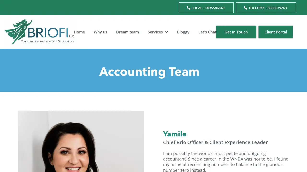 BrioFi, LLC page