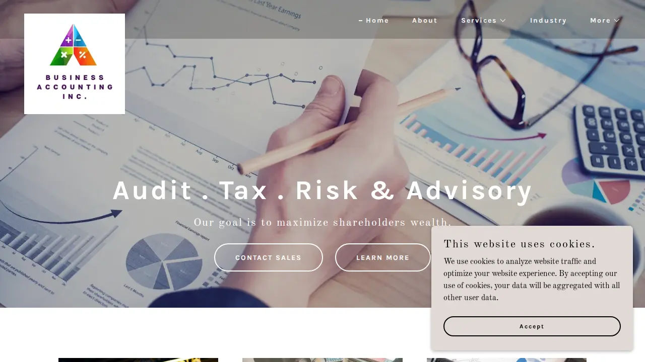 Business Accounting Inc.