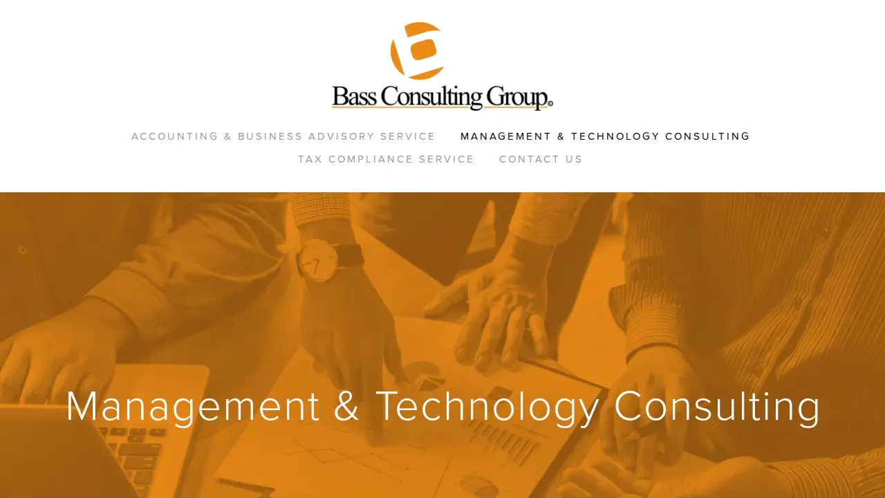Bass Consulting Group page