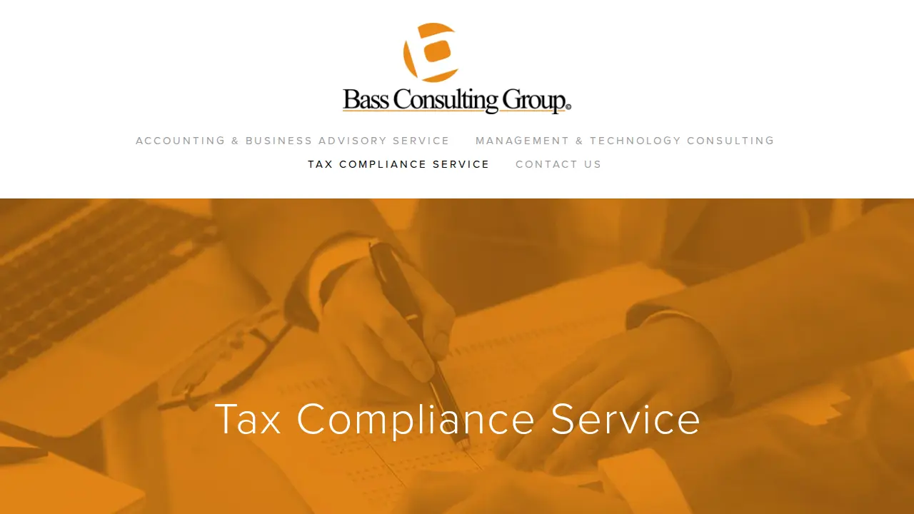 Bass Consulting Group page